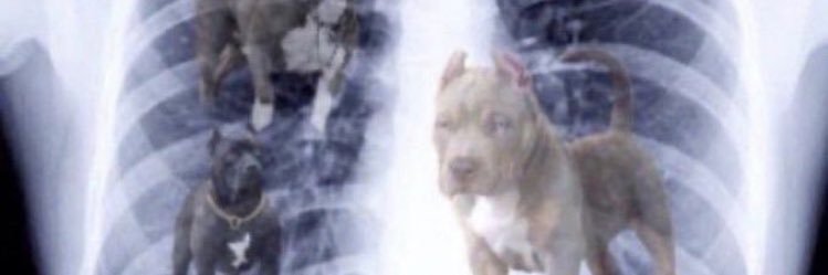dunkonemSLF's profile banner image