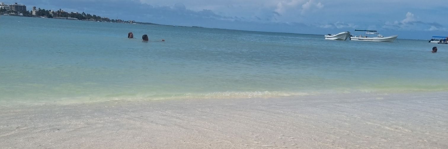 JohannyGutierrez banner