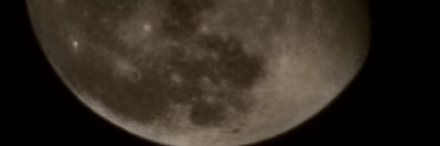 nanipia's profile banner image