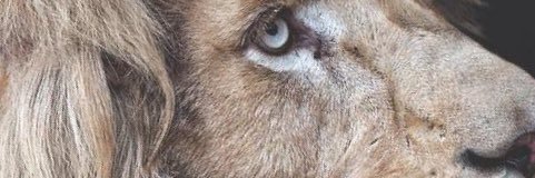 Rodcars's profile banner image