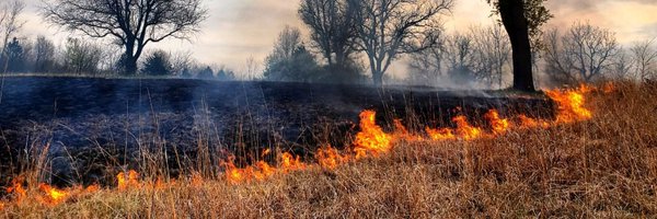 FreeStateWill Profile Banner