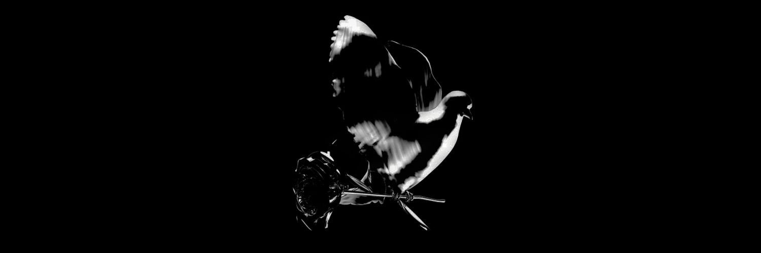 sayed3li08's profile banner image
