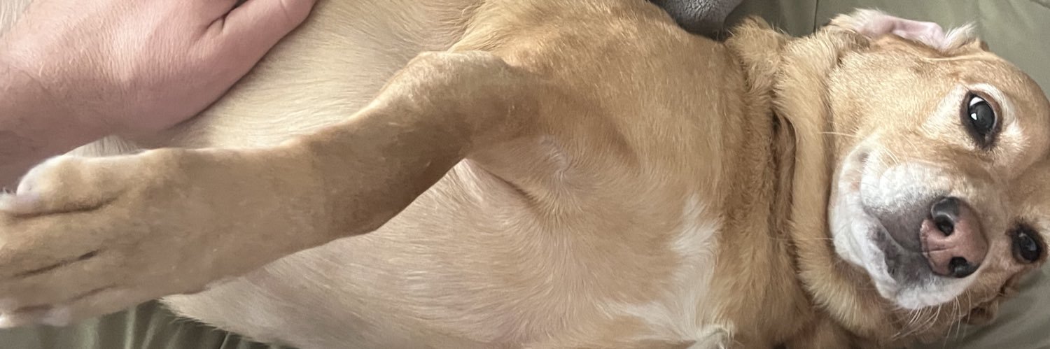 clammhappy's profile banner image