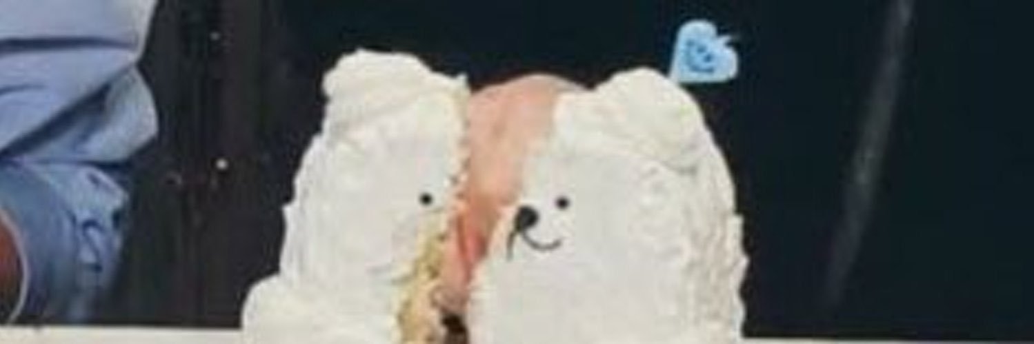 maionette's profile banner image