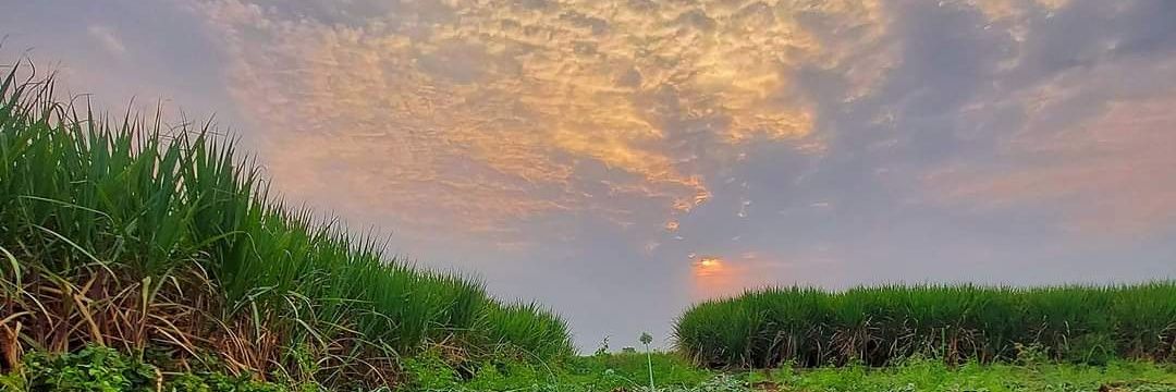 pramodkarad5's profile banner image