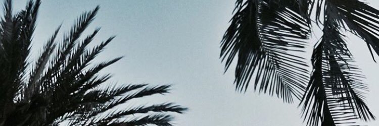 virginyafly's profile banner image