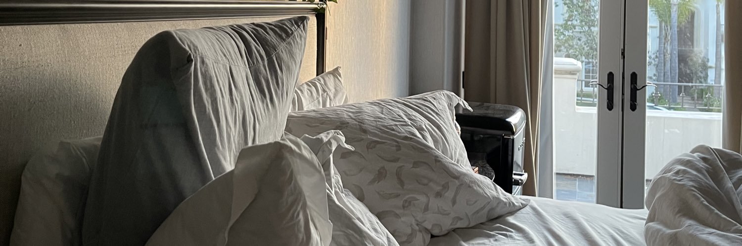 MelinaSaltmar's profile banner image