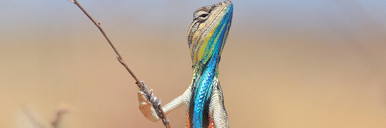 unotheg0d's profile banner image