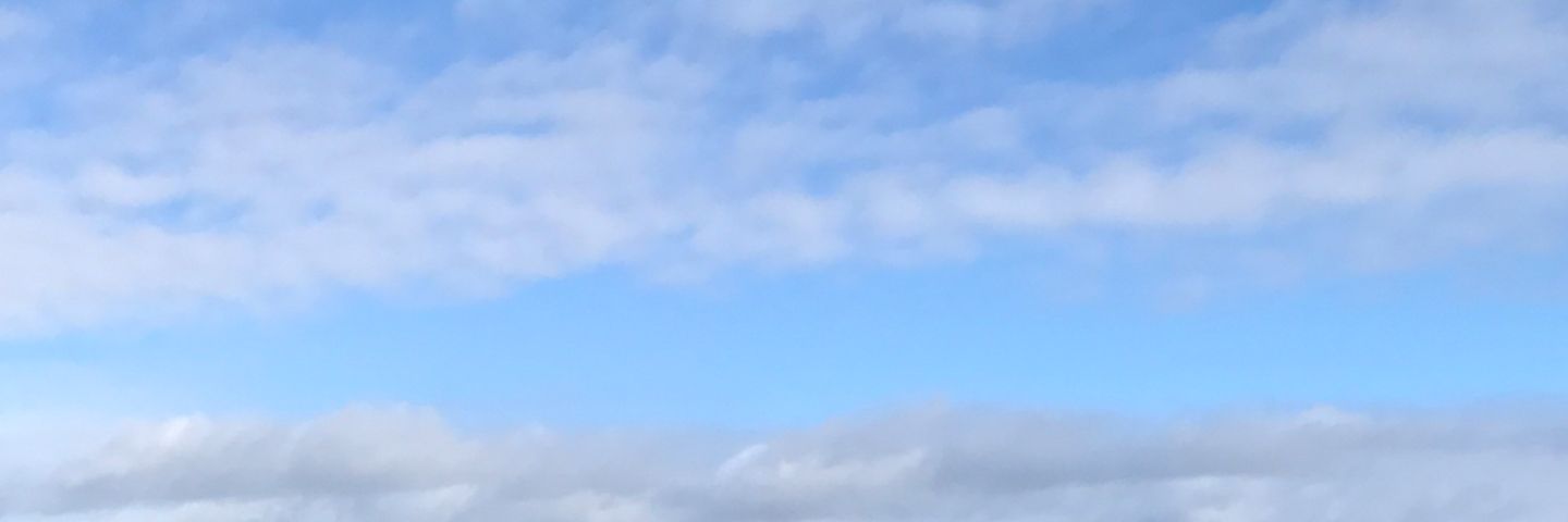 ムーミンママ banner