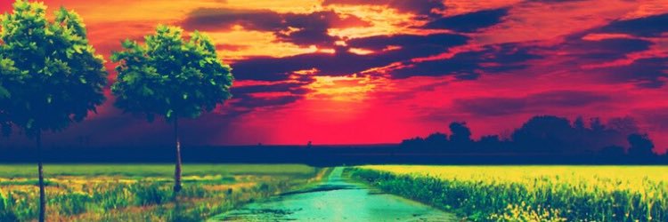 carlcab502's profile banner image