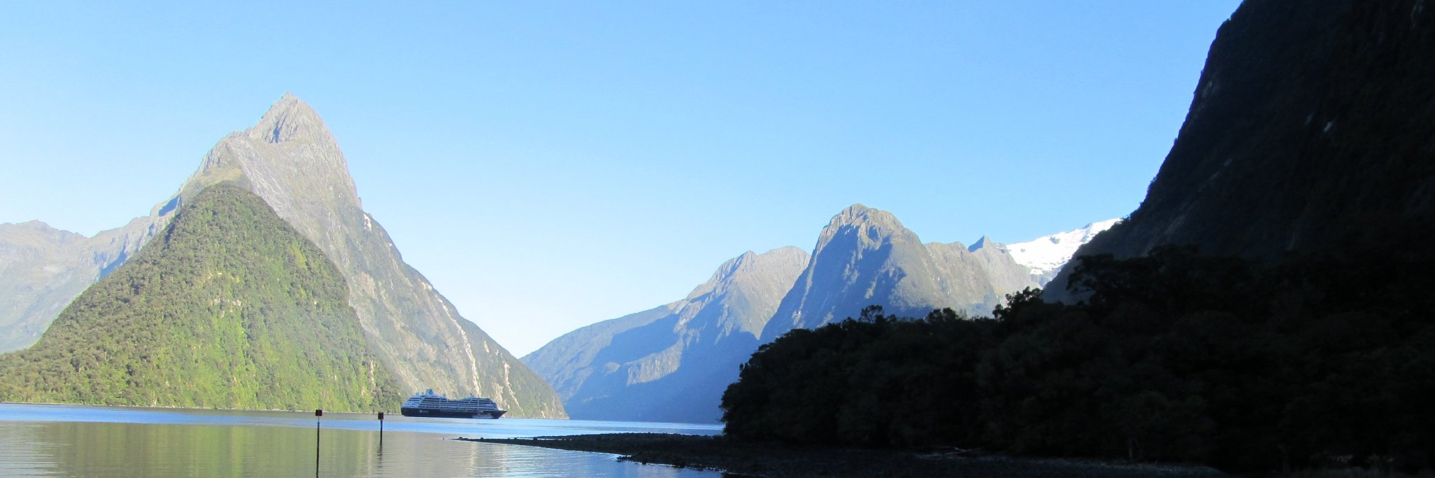 John Halloran banner