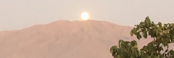 MMoussaMD Profile Banner