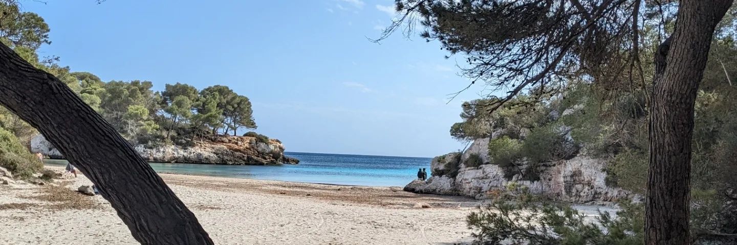 AinhoaPacio's profile banner image