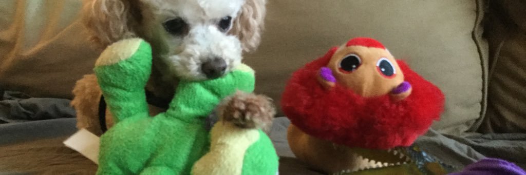 Tysonkeith5's profile banner image
