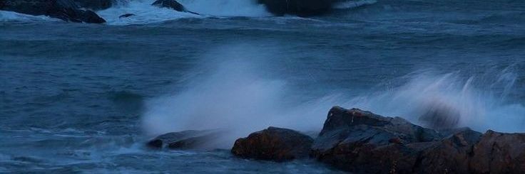 ❀ 𝒩𝒜𝒩𝓏 ❀ banner