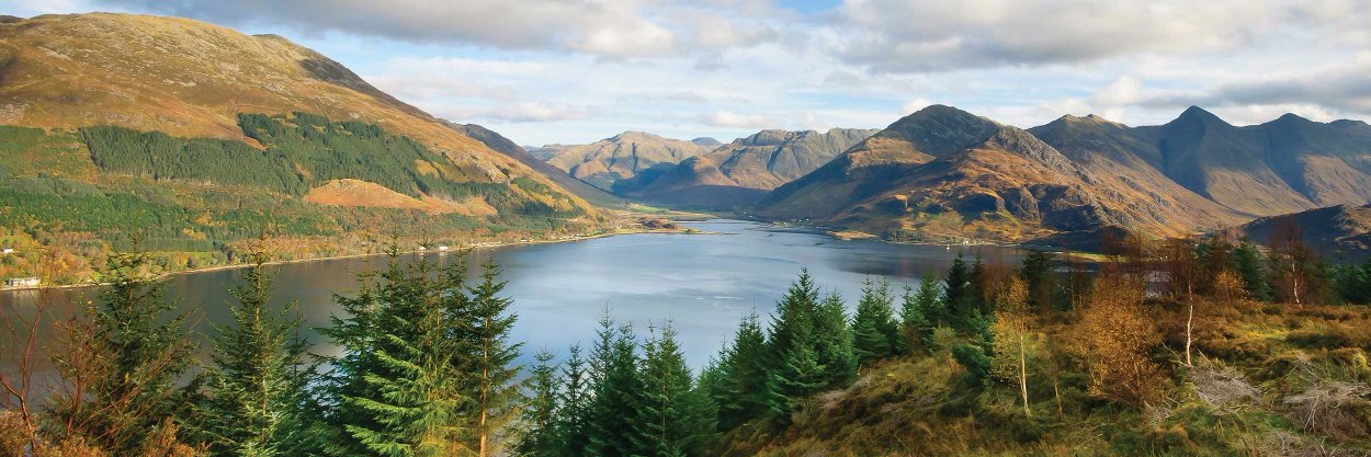 bbcscot2015's profile banner image