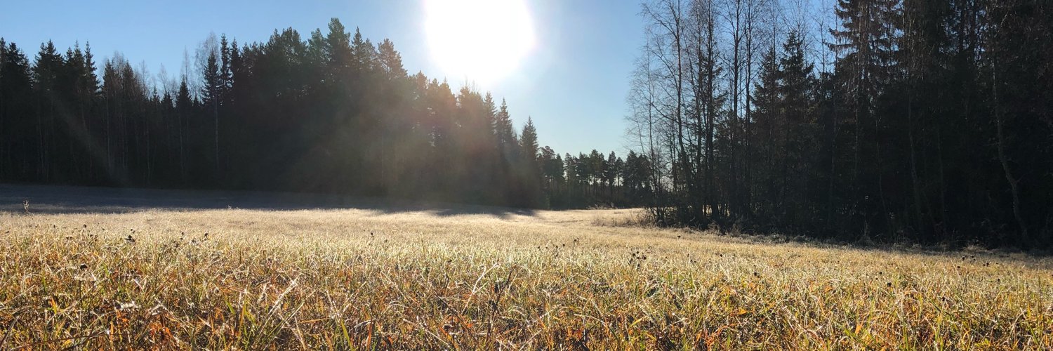 Bas Leijdekkers banner