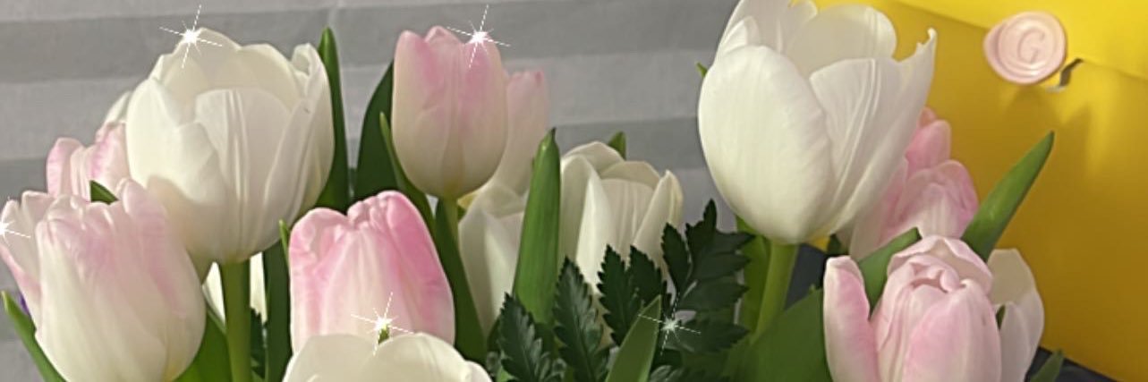 gem is seeing bts ♡ banner