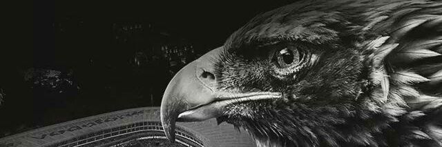 mmtsimsek's profile banner image