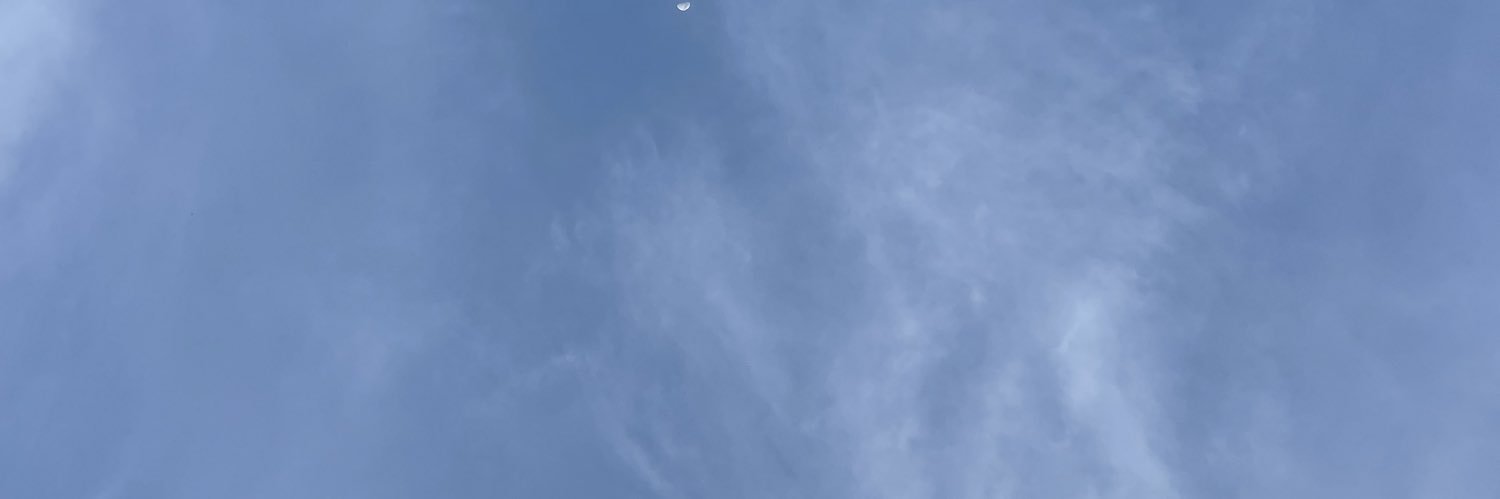 lotzzf's profile banner image