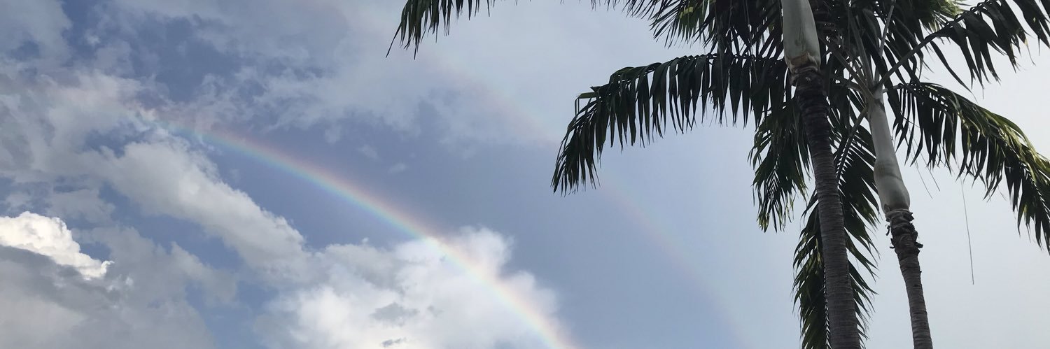 yankooknay's profile banner image