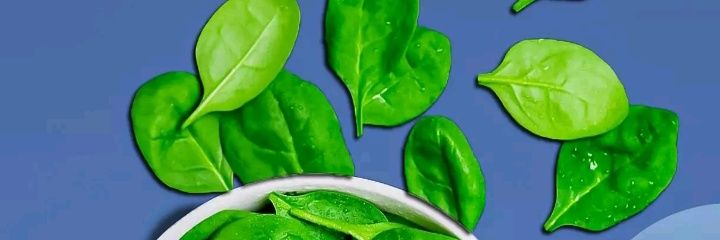 cilLbo_NFT77 banner