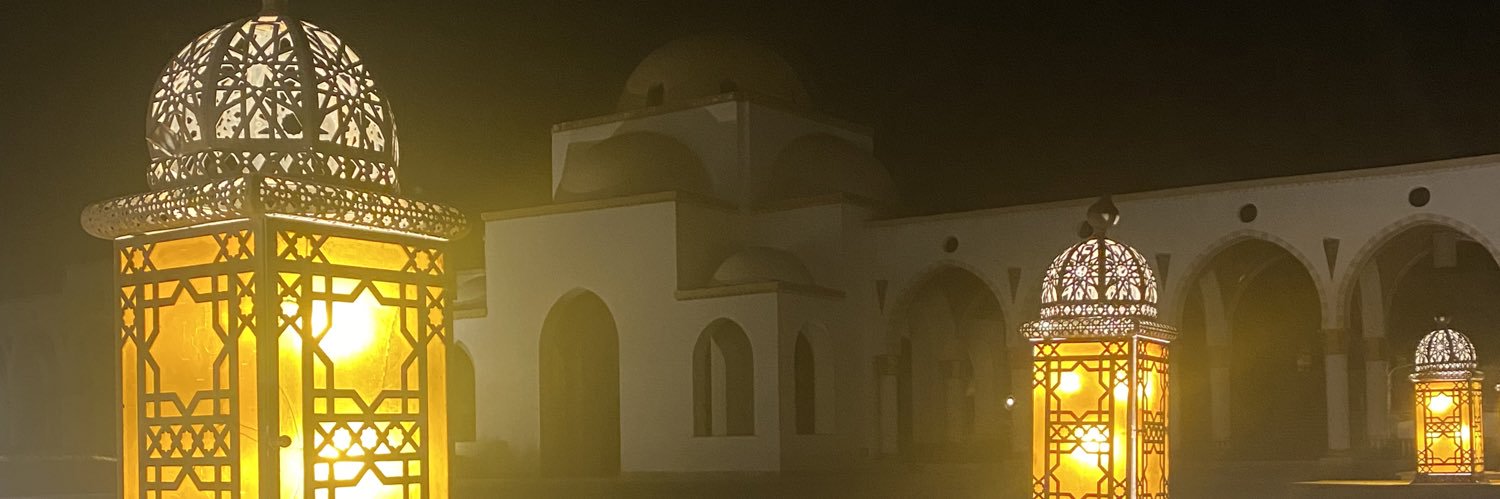 linsalubre's profile banner image