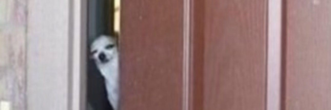 𝓂𝒶𝓂𝒾𝒾 banner
