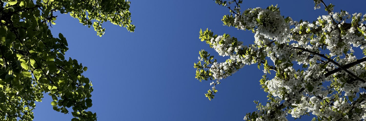 strogichoban's profile banner image