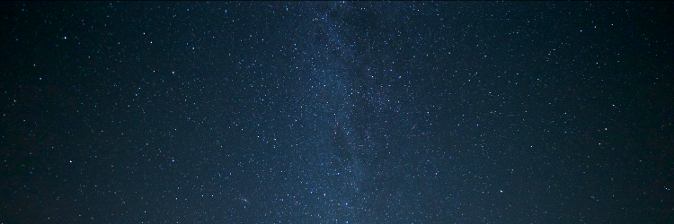 tobylam's profile banner image