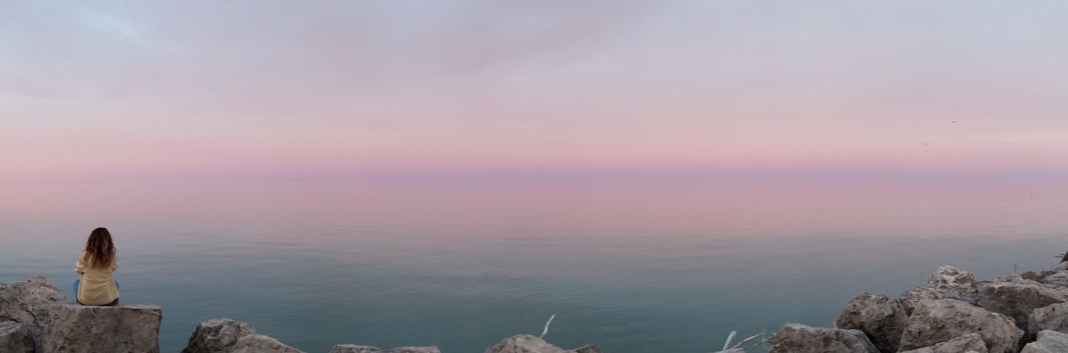 annapedrick13's profile banner image