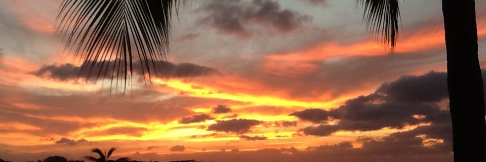 DrChrisGilbert's profile banner image
