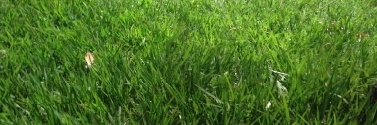 fabio4658's profile banner image