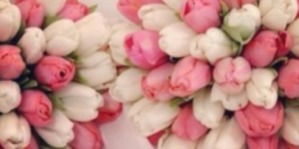 Liaaliud's profile banner image