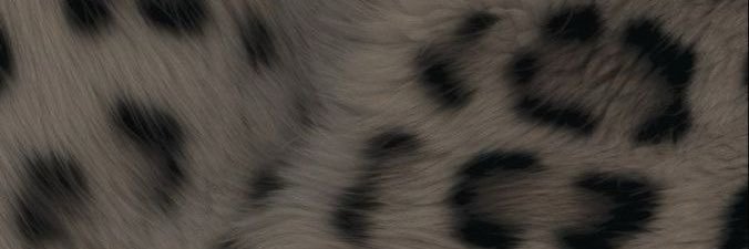 alison banner