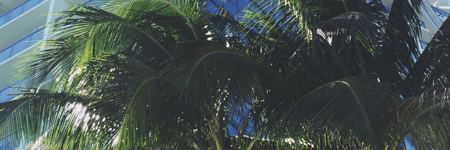 carolinesilta's profile banner image