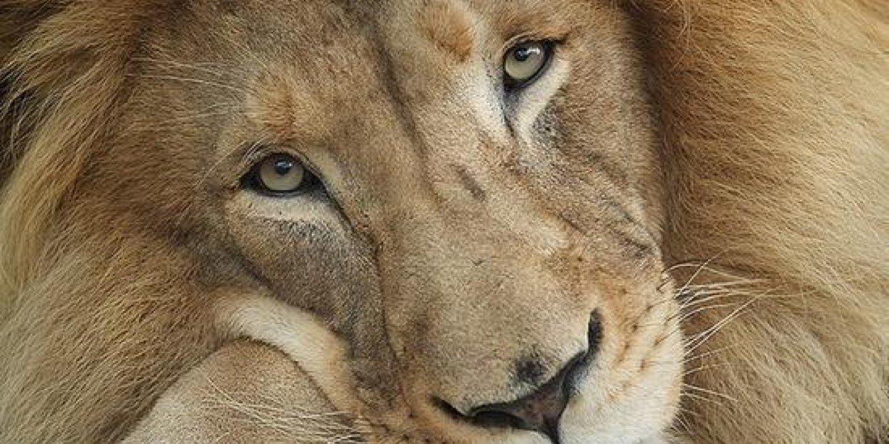 TonyLovatt's profile banner image