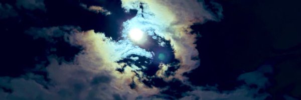 poke428 Profile Banner