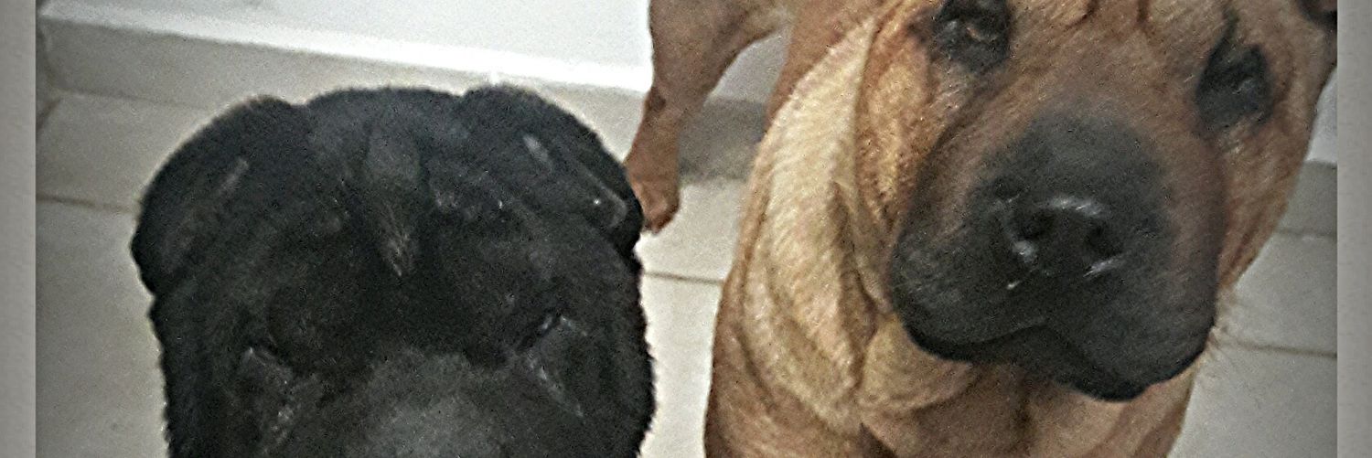 9Santilo's profile banner image