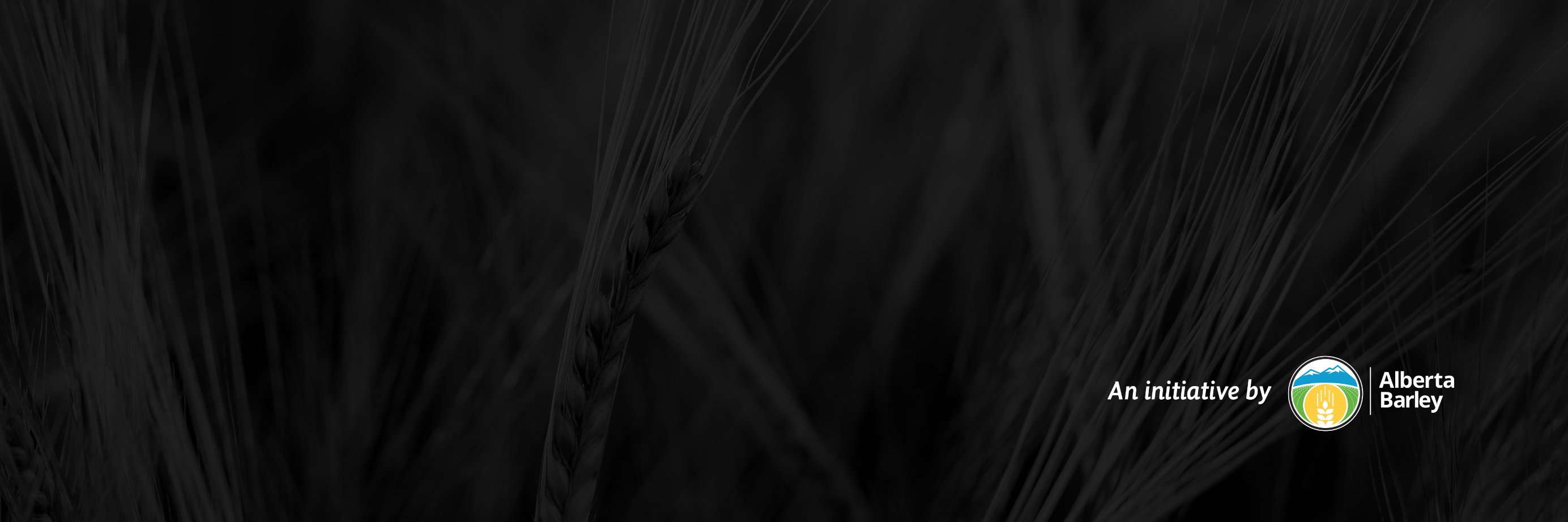 CombineToCraft's profile banner image