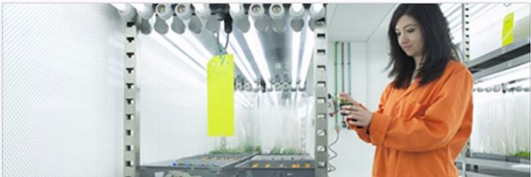 prt_silvia Profile Banner