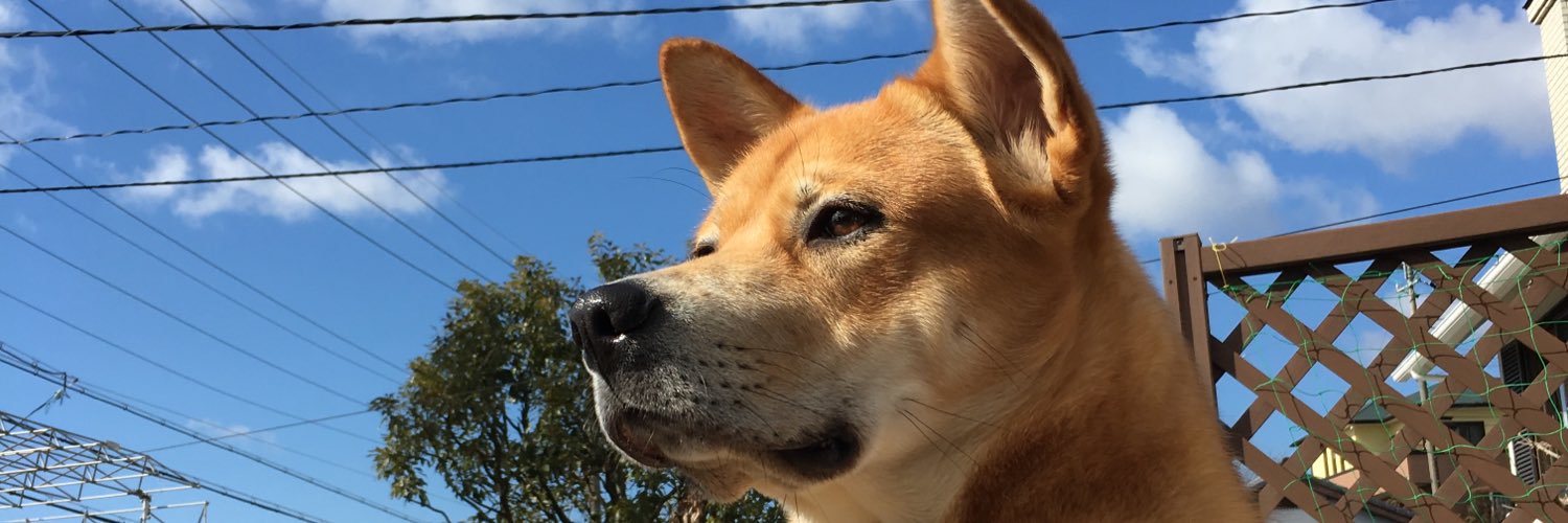 buruno525's profile banner image