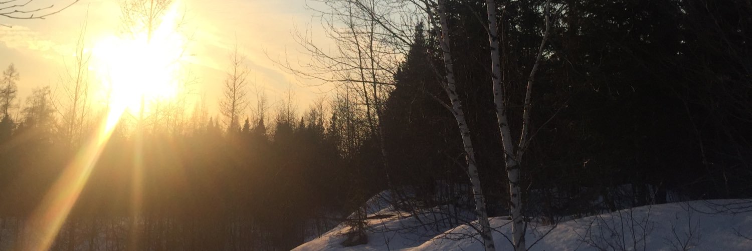 Michelle Palmer banner