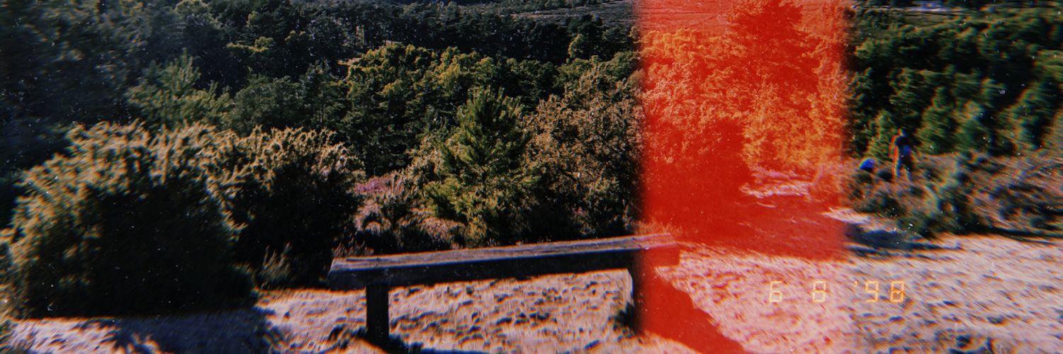 Dustb1nLid's profile banner image
