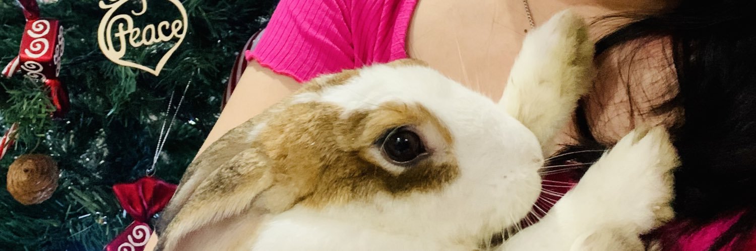 Genetafrances's profile banner image