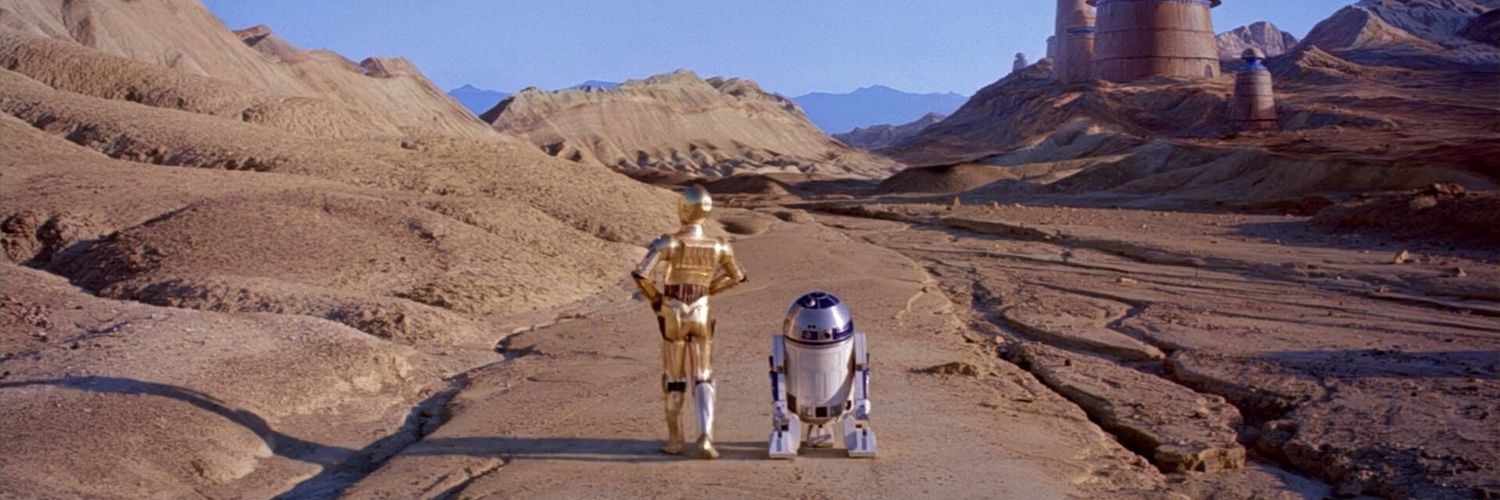 ᵐᵃʳⁱ ꕤ banner