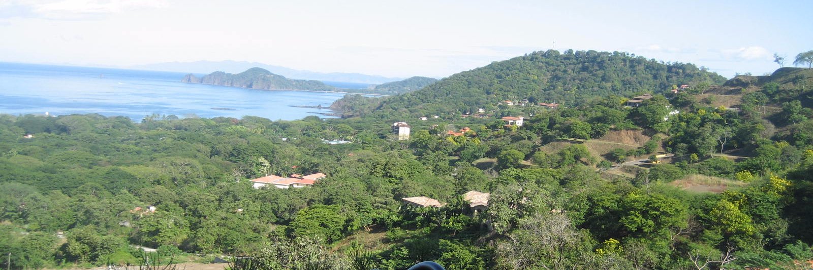 Kenny Mitchell banner