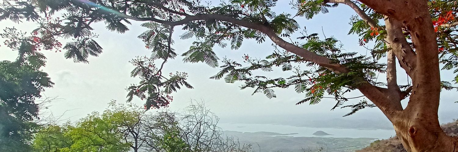 DdivyaMehta's profile banner image