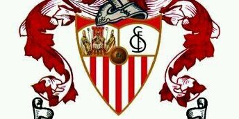 anillo44.sfc banner