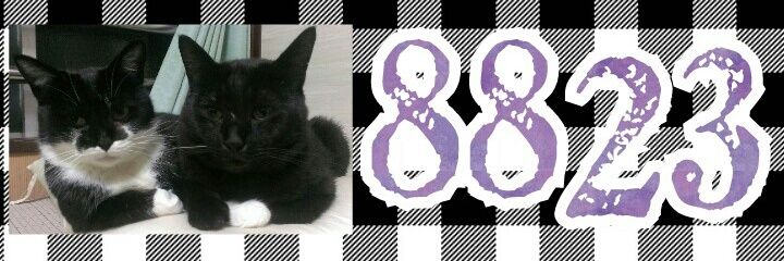 chitaka_comike's profile banner image